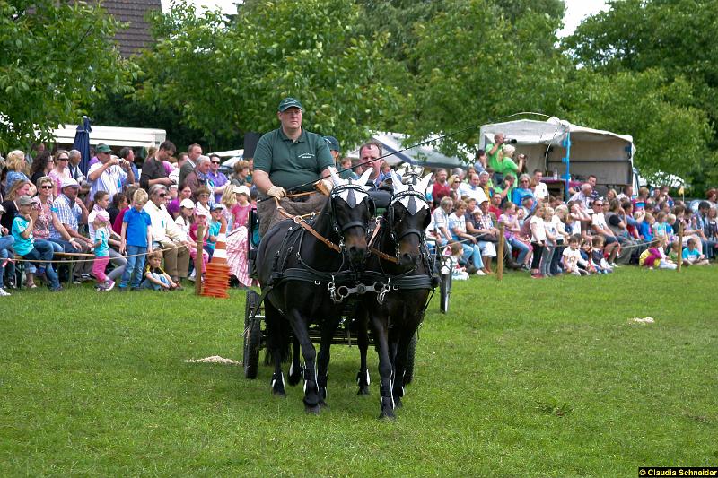 Ponytag Bosbach 2012-007.jpg